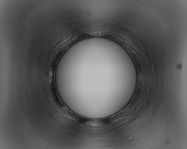 X0000100930652200806241139