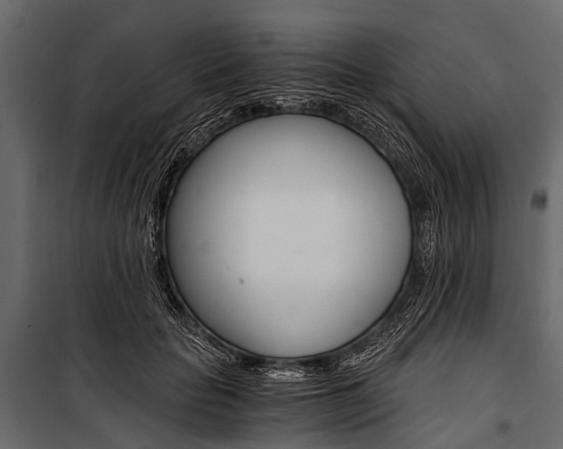 X0000100930653200806241139