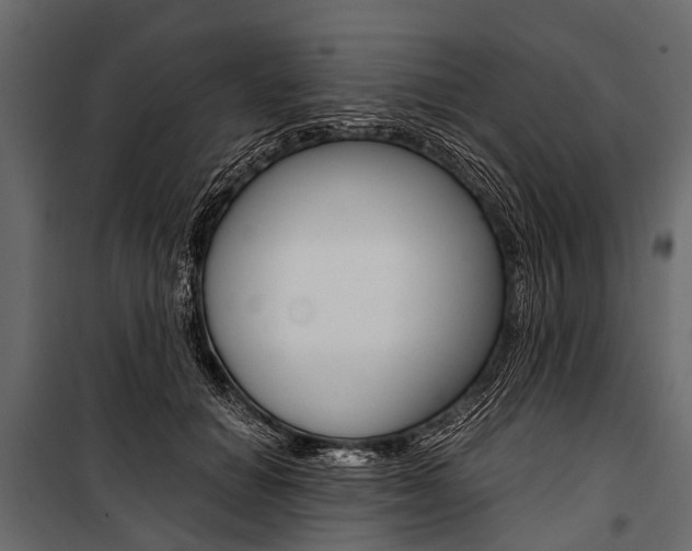 X0000100930654200806241139