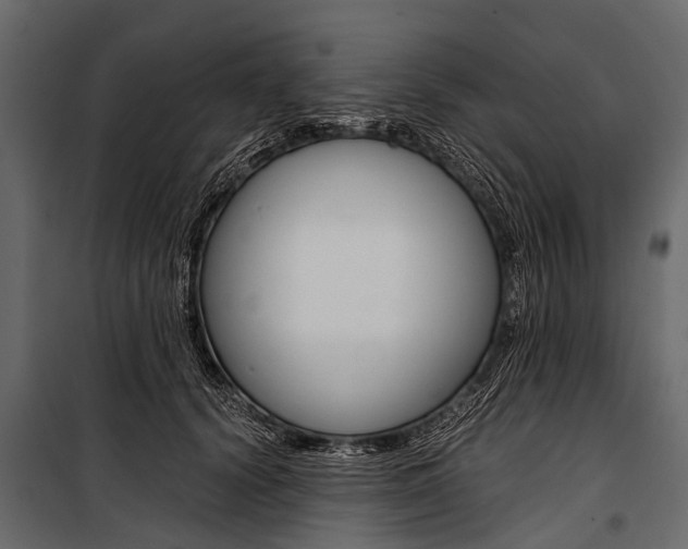 X0000100930656200806241139