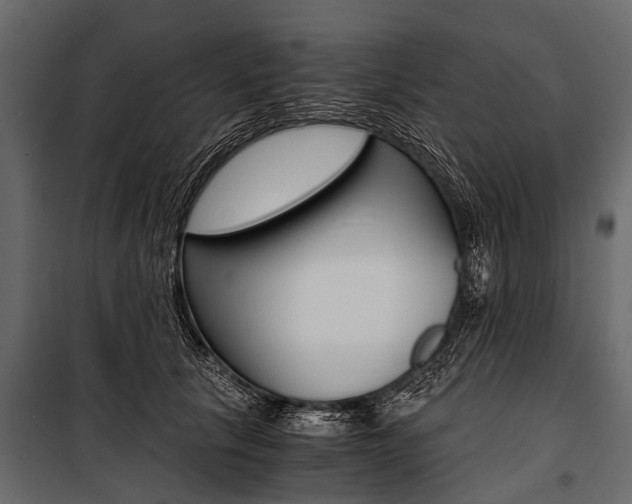 X0000100930657200806241139