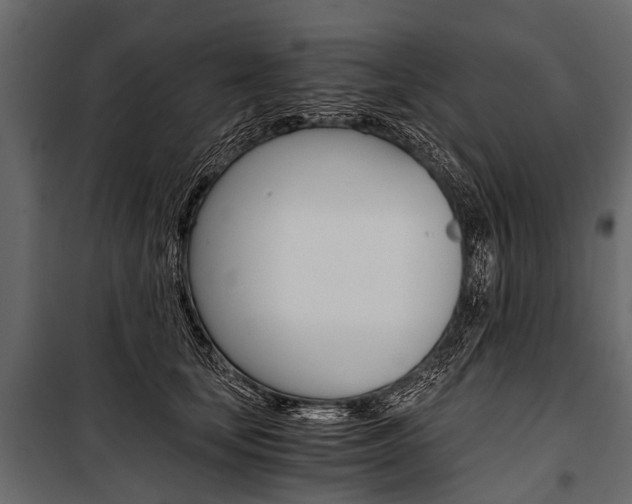 X0000100930659200806241139