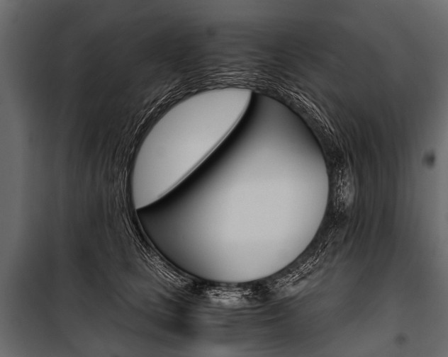 X0000100930661200806241139