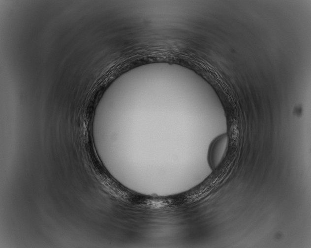 X0000100930662200806241139