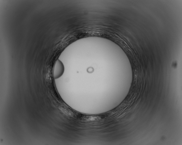 X0000100930663200806241139