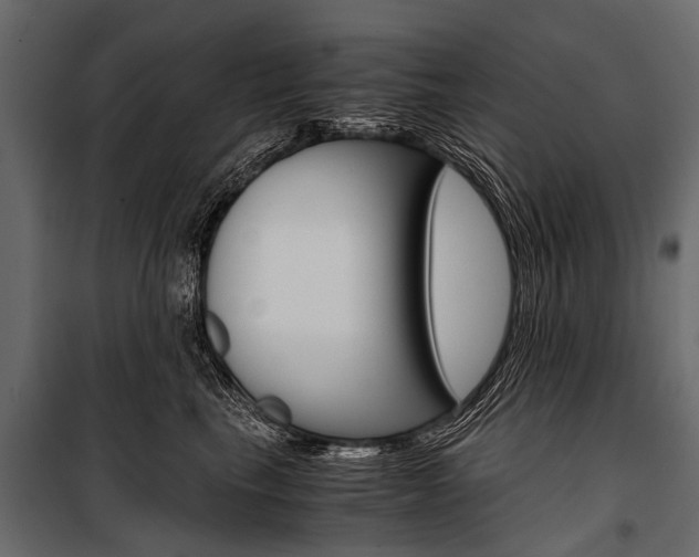 X0000100930665200806241139