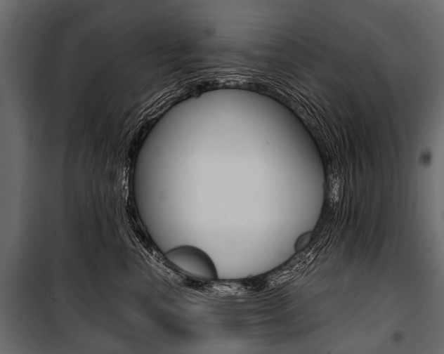 X0000100930666200806241139