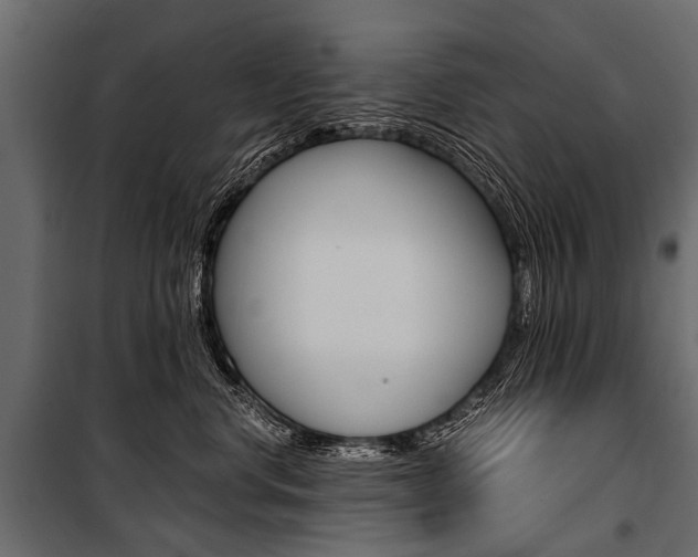 X0000100930668200806241139