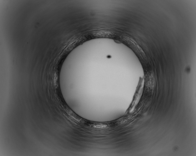 X0000100930669200806241139