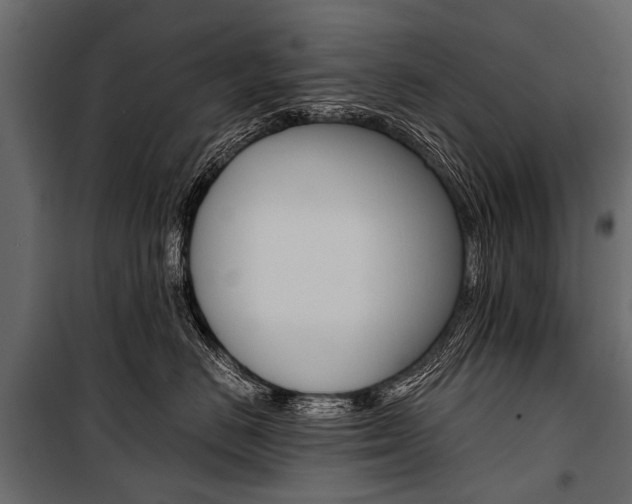 X0000100930670200806241139