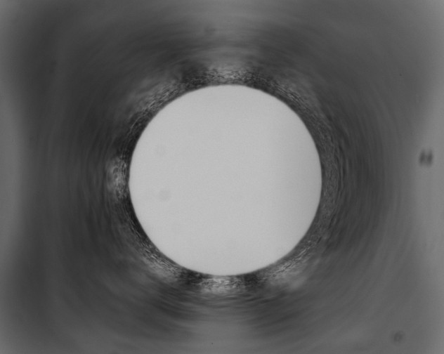 X0000100930672200806241139