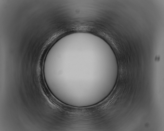 X0000100930674200806241138