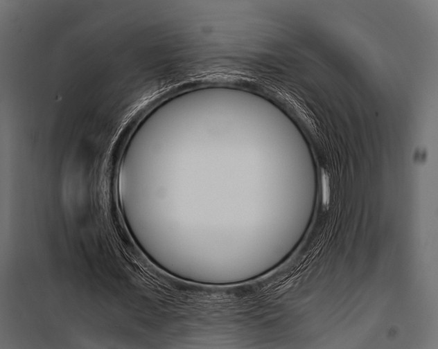 X0000100930675200806241138