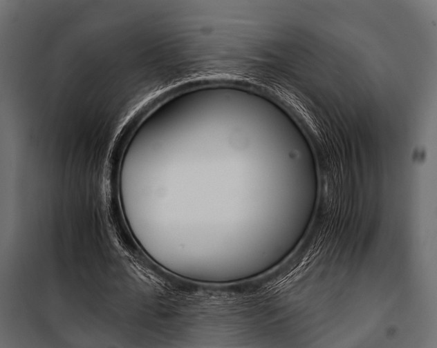 X0000100930676200806241138