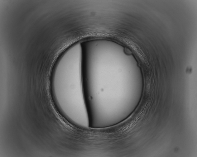 X0000100930677200806241138