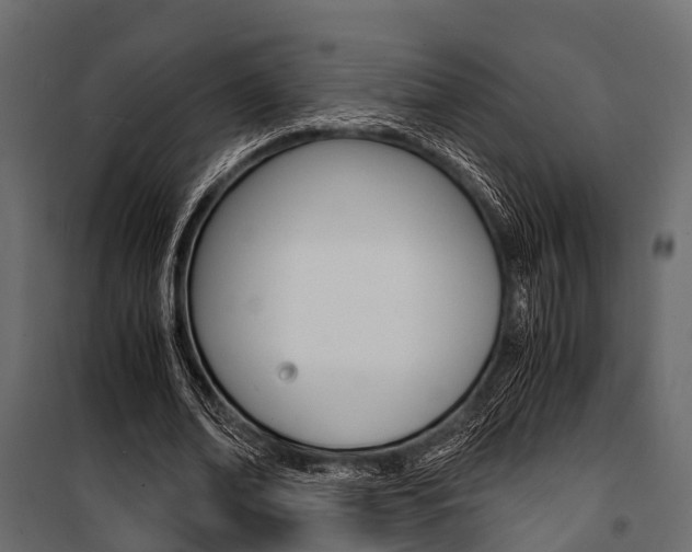 X0000100930678200806241138