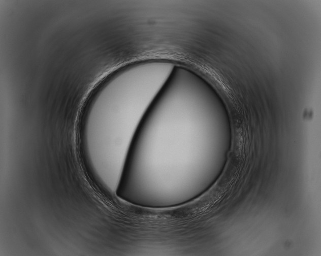 X0000100930680200806241138