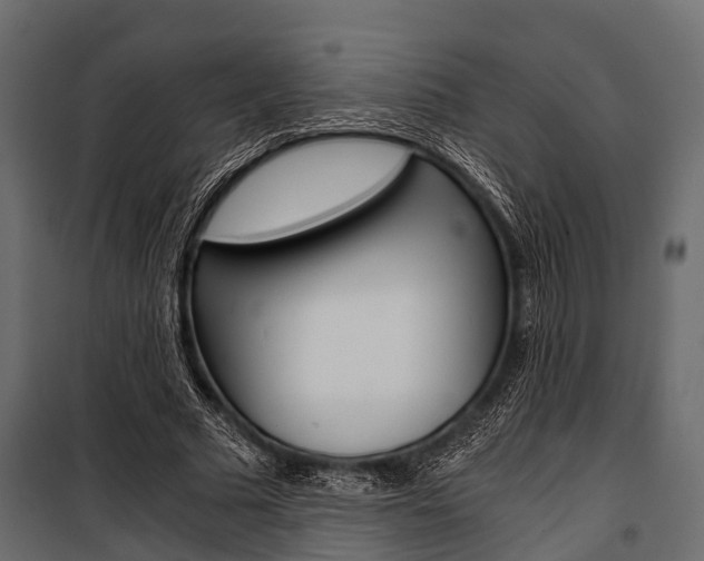 X0000100930681200806241138