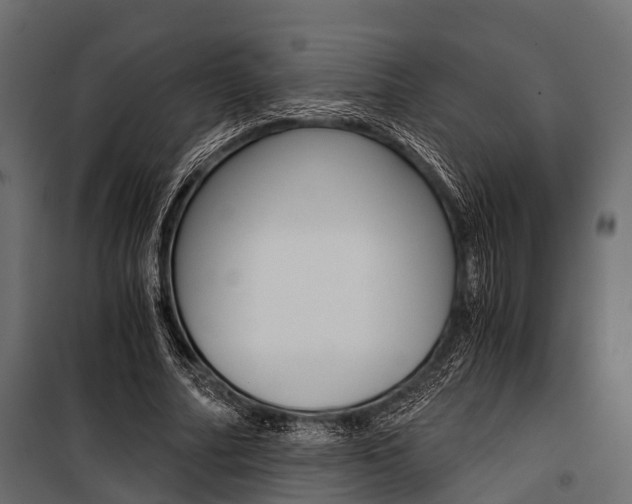 X0000100930682200806241138