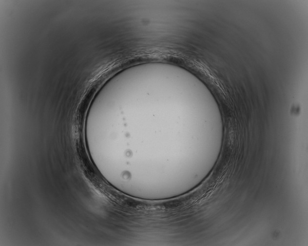 X0000100930683200806241138