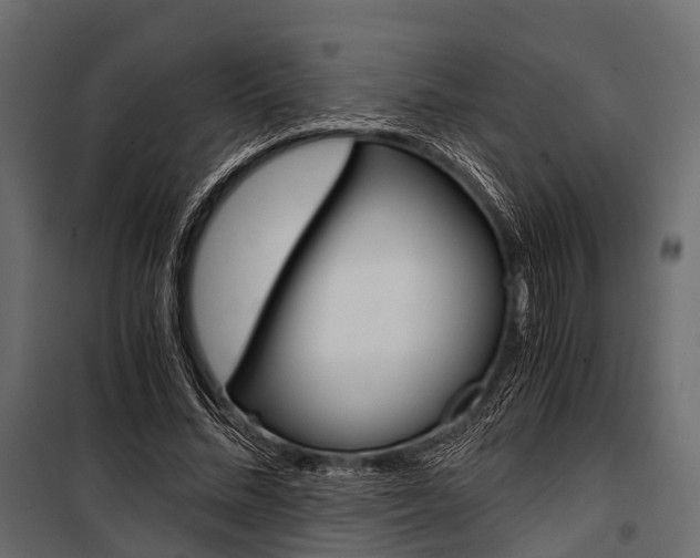 X0000100930684200806241138