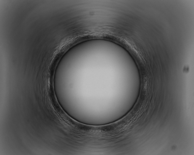 X0000100930685200806241138