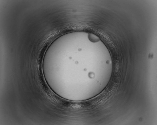 X0000100930687200806241138