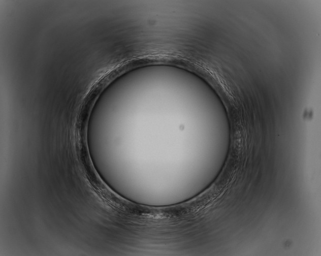 X0000100930688200806241138