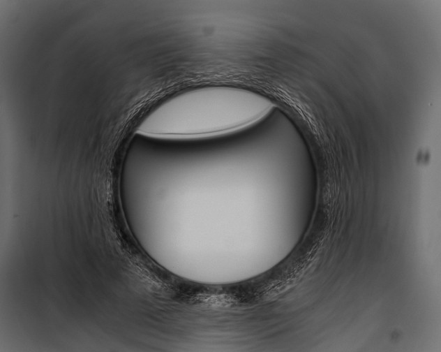 X0000100930689200806241138