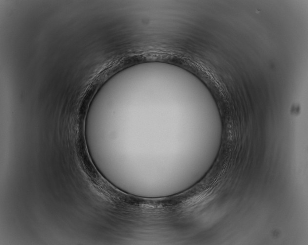 X0000100930690200806241138