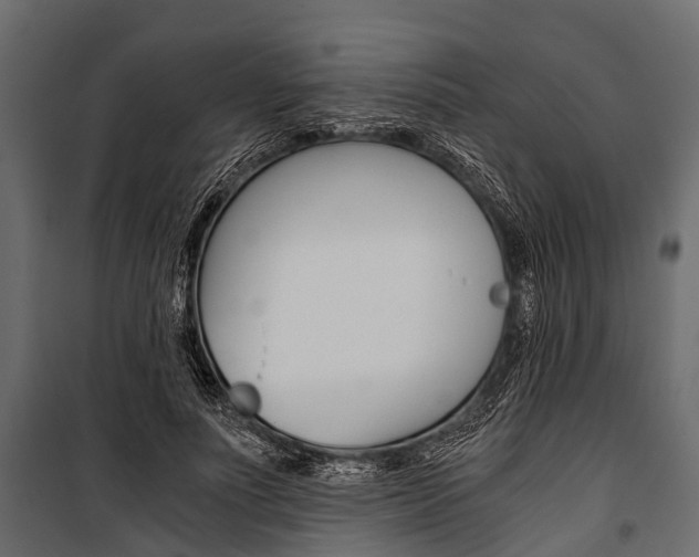 X0000100930691200806241138