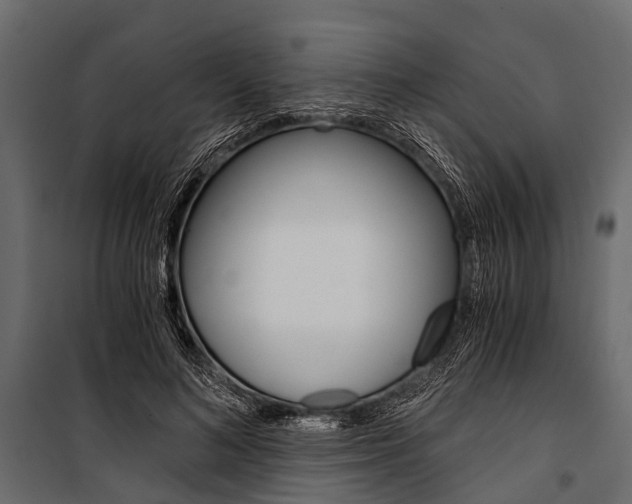 X0000100930692200806241138