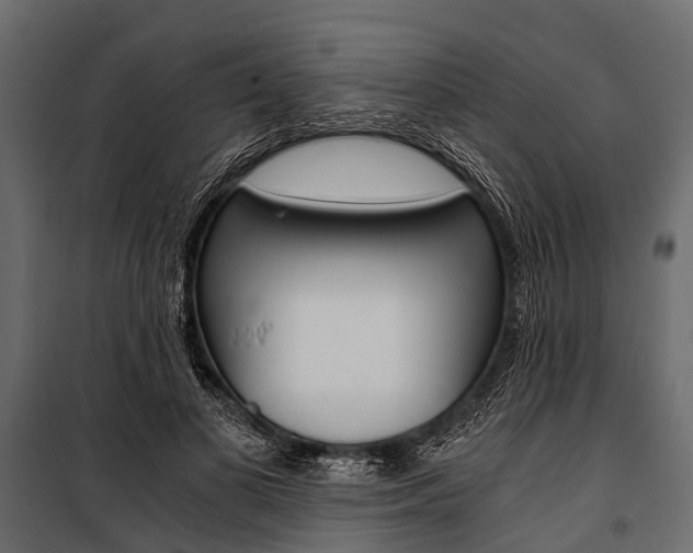 X0000100930693200806241138