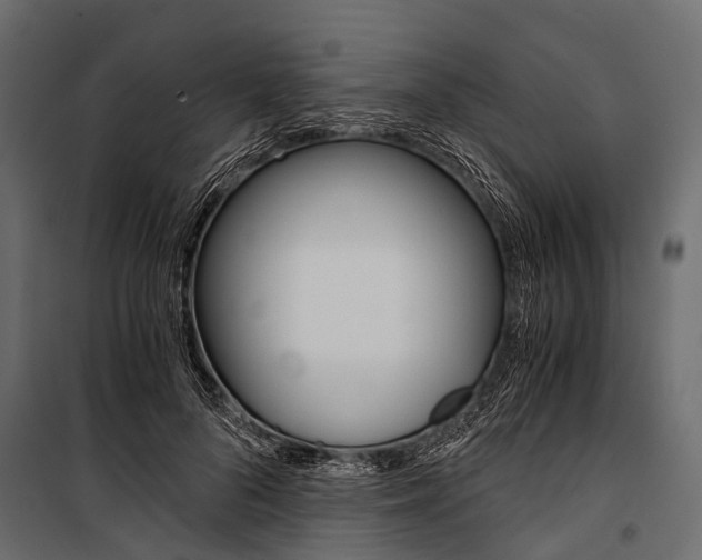 X0000100930696200806241138