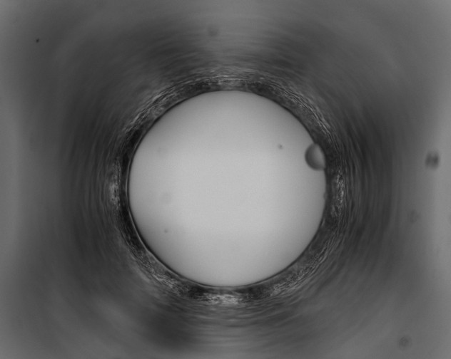 X0000100930698200806241138