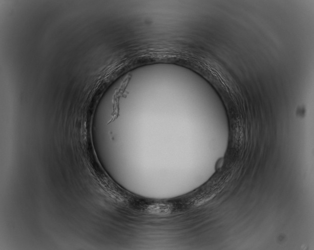 X0000100930700200806241138