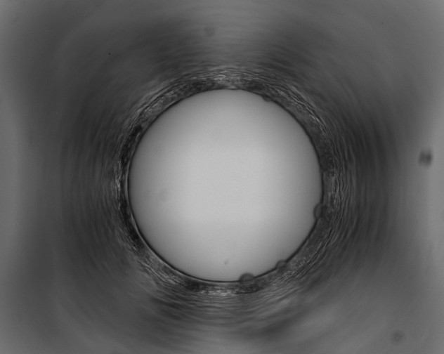 X0000100930702200806241138