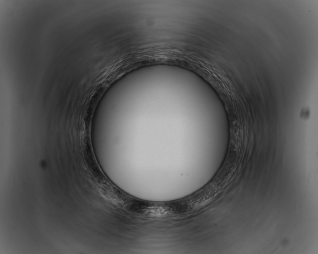 X0000100930704200806241138