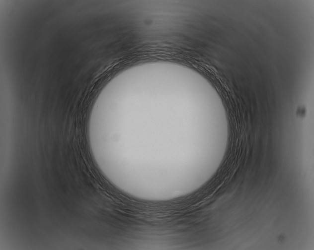 X0000100930705200806241138