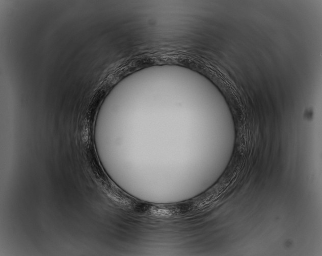 X0000100930706200806241138