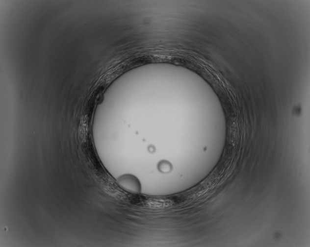 X0000100930707200806241138