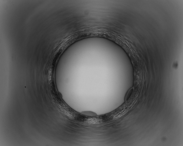 X0000100930708200806241138