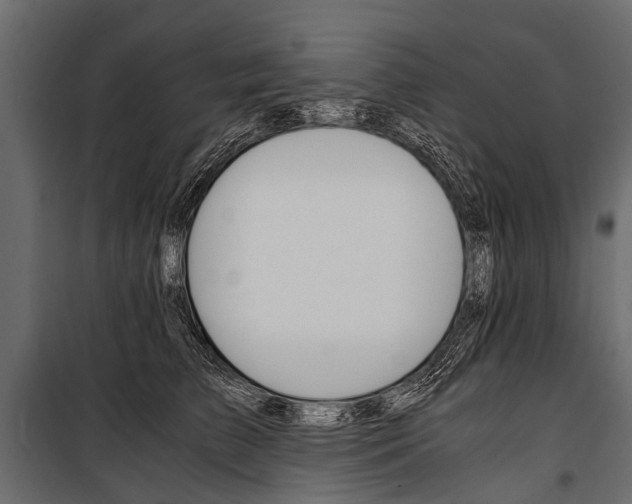 X0000100930709200806241138