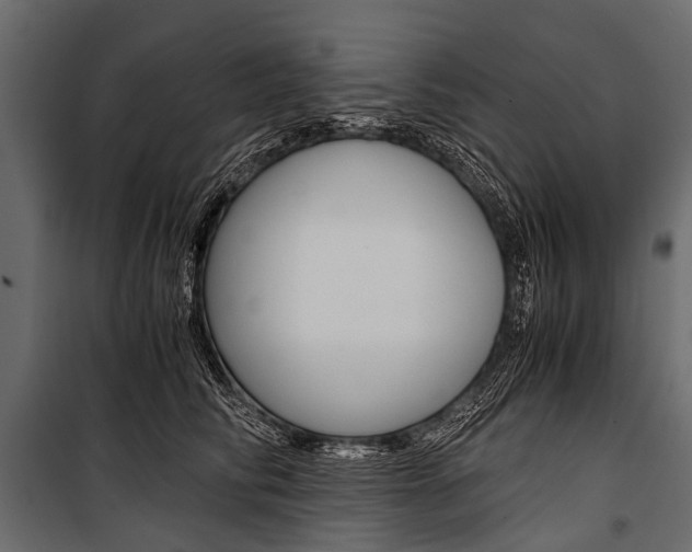 X0000100930710200806241138