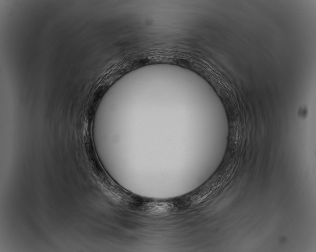 X0000100930711200806241138