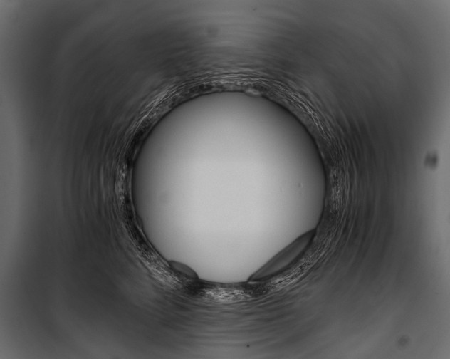 X0000100930712200806241138