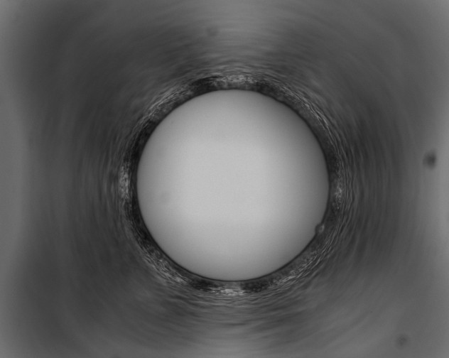 X0000100930715200806241138