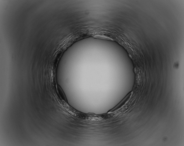 X0000100930716200806241138