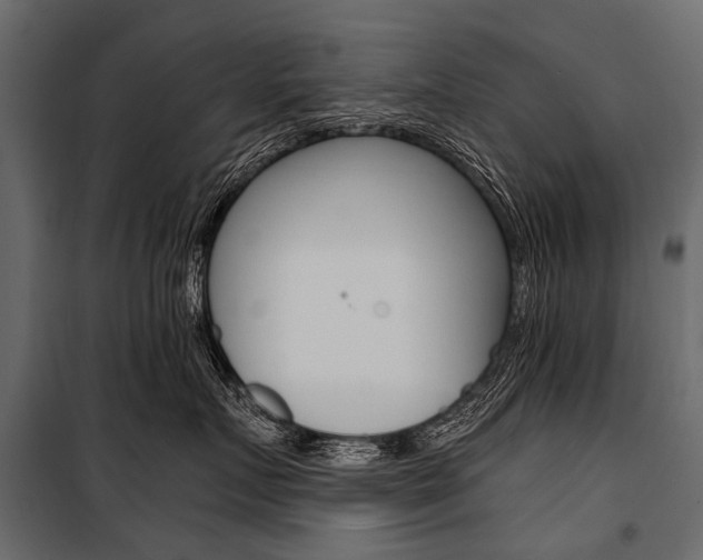 X0000100930719200806241138