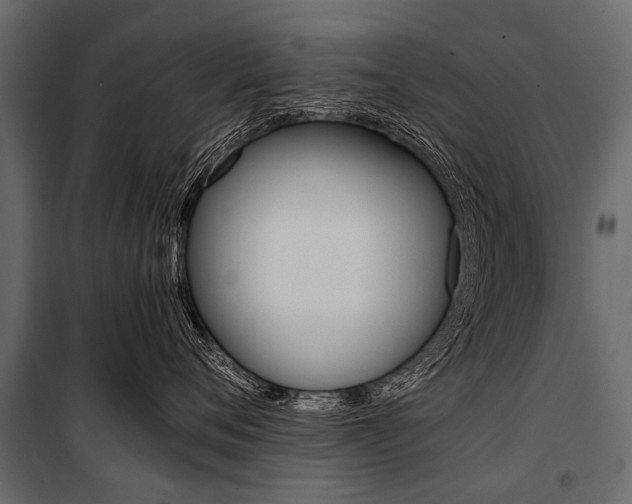 X0000100930720200806241138